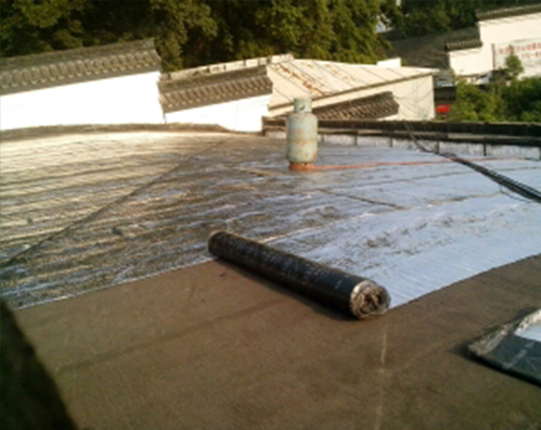 仙游屋顶防水